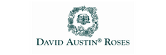 David Austin Roses